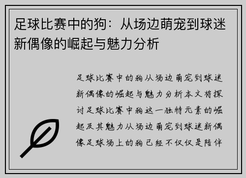 足球比赛中的狗：从场边萌宠到球迷新偶像的崛起与魅力分析